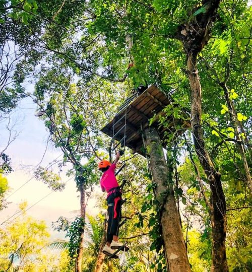 FB_IMG_1633098656299